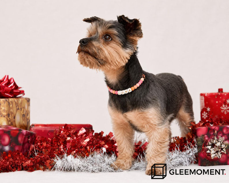 Personalized Beaded Pet Collar