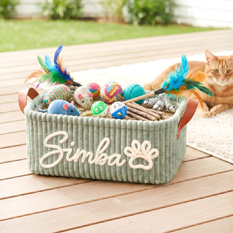Personalized Pet Toy Basket Pro