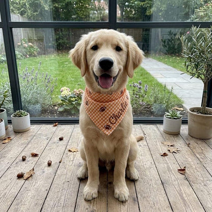 Personalized Football Dog Bandana