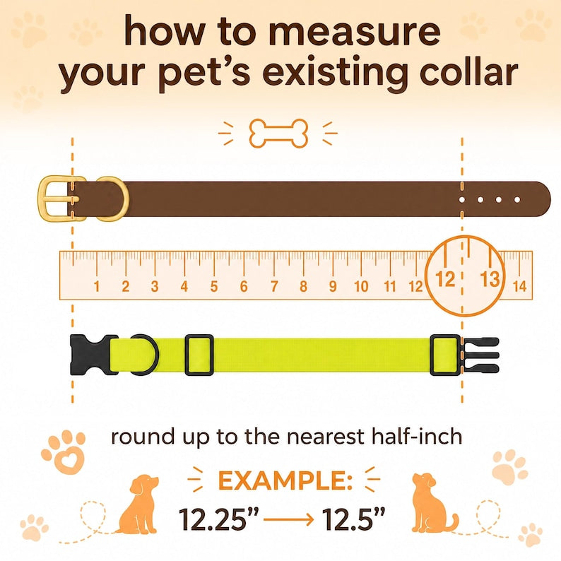 Personalized Gradient Bead Pet Collar