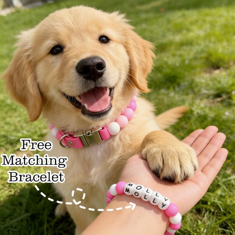 Personalized Gradient Bead Pet Collar