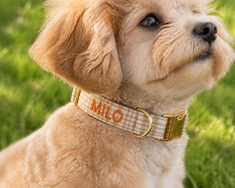 Personalized Gingham Name Dog Collar