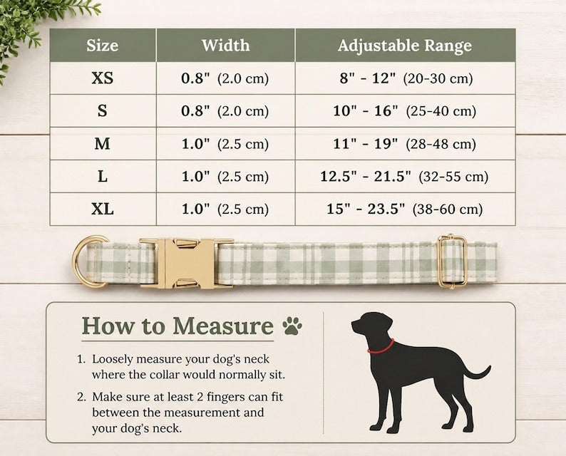 Personalized Gingham Name Dog Collar