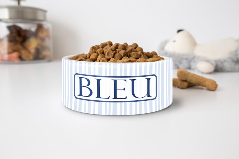 Personalized Grandmillennial Pet Bowl