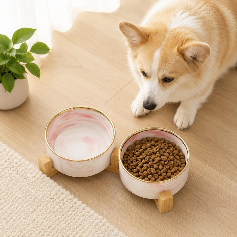 Personalized Marble Pet Bowl with Stand