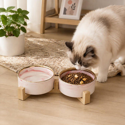 Personalized Marble Pet Bowl with Stand
