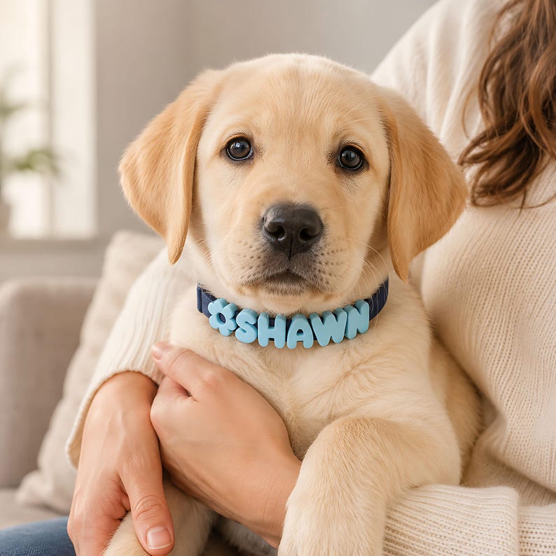 Personalized Pastel 3D Name Pet Collar