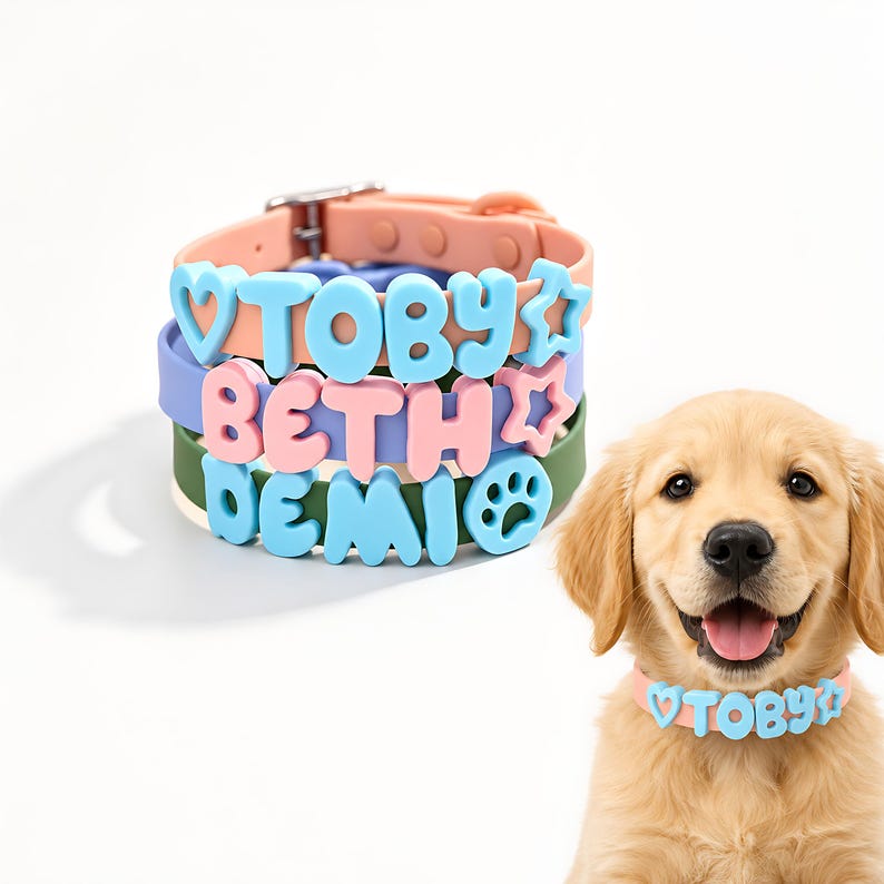 Personalized Pastel 3D Name Pet Collar