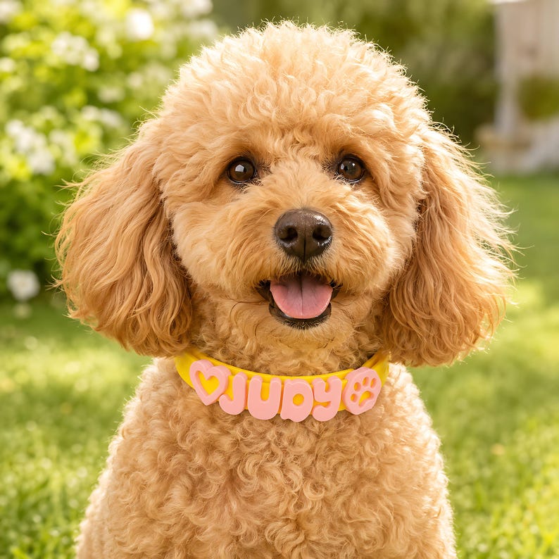 Personalized Pastel 3D Name Pet Collar