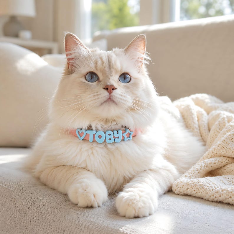 Personalized Pastel 3D Name Pet Collar
