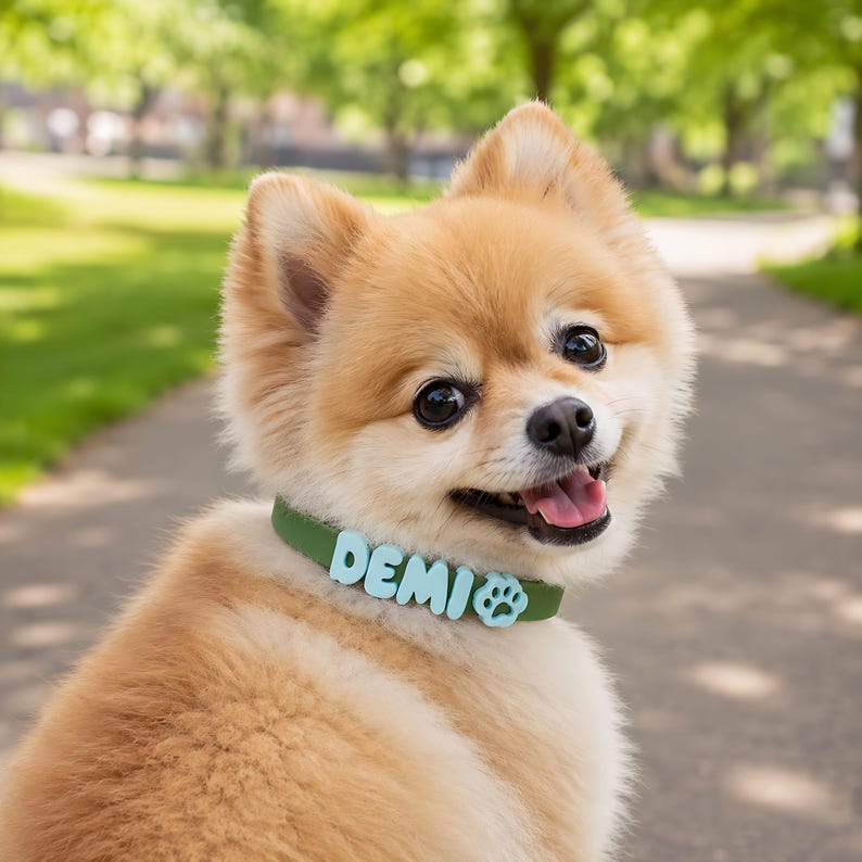 Personalized Pastel 3D Name Pet Collar