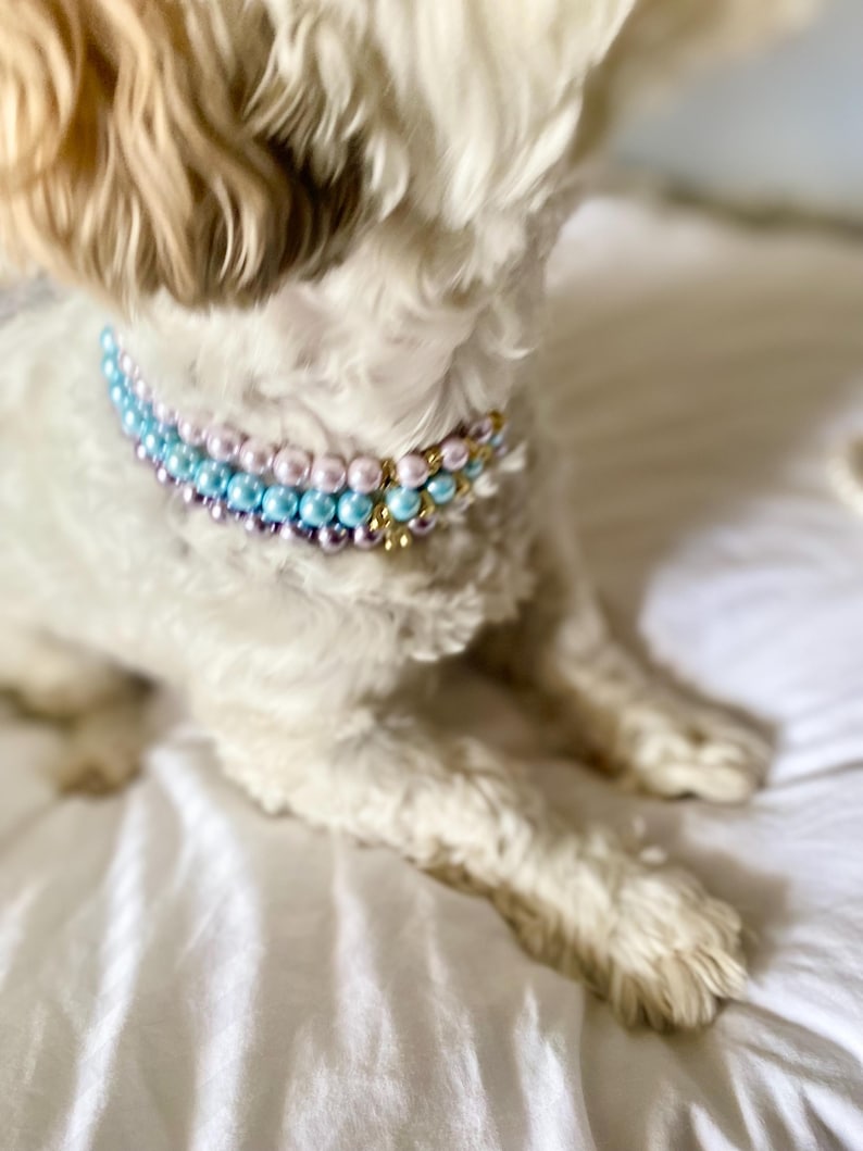 Personalized Pearl Name Pet Necklace