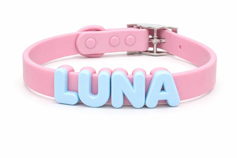 Personalized Pastel Raised Name Collar