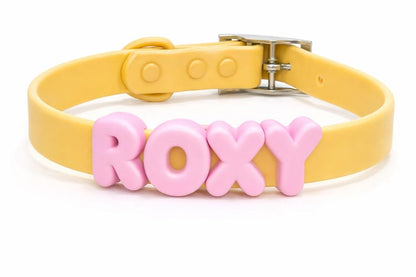 Personalized Pastel Raised Name Collar