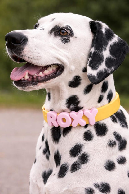 Personalized Pastel Raised Name Collar