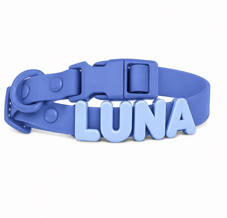 Personalized Pastel Raised Name Collar