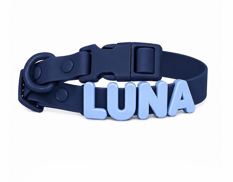 Personalized Pastel Raised Name Collar