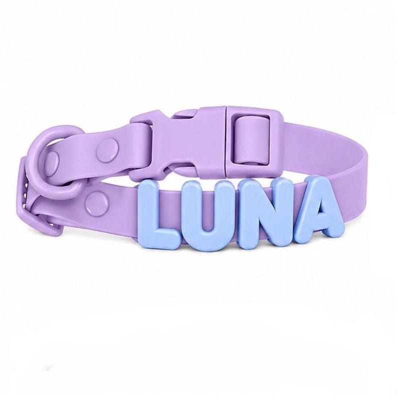 Personalized Pastel Raised Name Collar