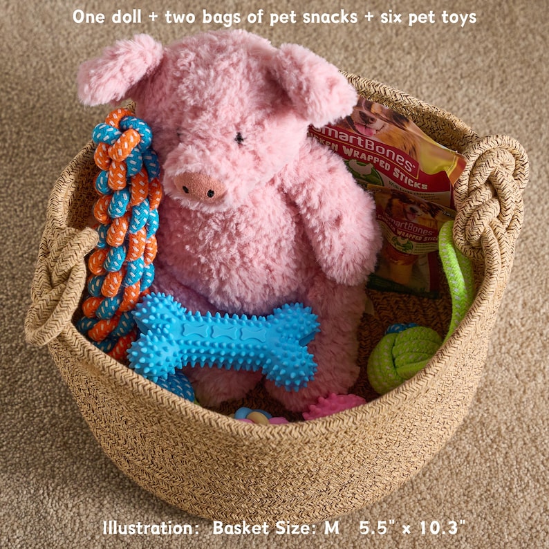 Personalized Pet Toy Storage Basket