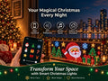 Smart Animated LED Curtain Lights