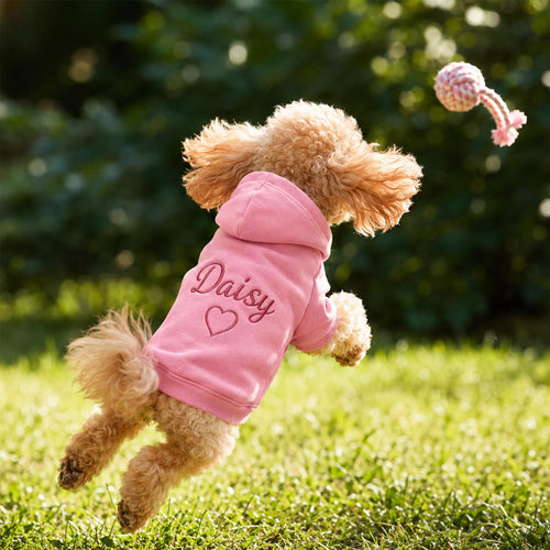 Custom  Personalized Puppy Embroidery Hoodie