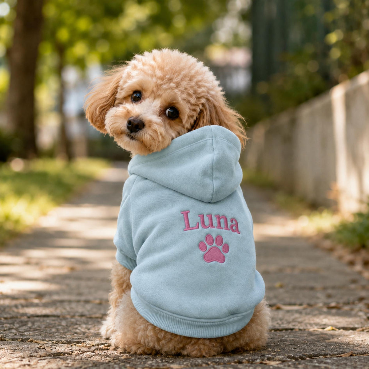 Custom  Personalized Puppy Embroidery Hoodie