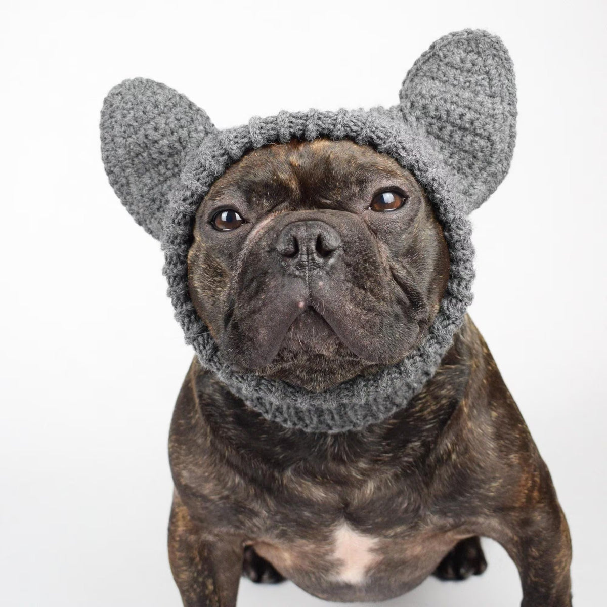 Custom Grey Dog Knit Ear Hat