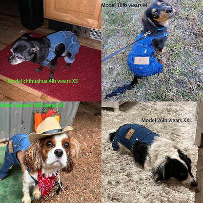 Pet Clothes Elastic Jeans Overalls